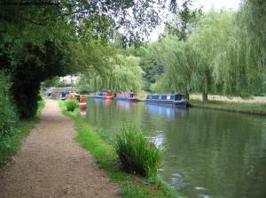 The River Wey near Guildford