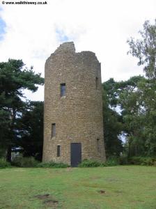 The tower on Chinthurst Hill