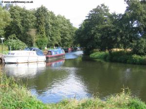 The River Wey near Broadford