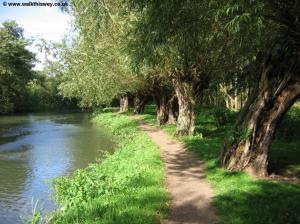The Wey beyond Stoke Lock