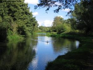 The Wey beyond Stoke Lock