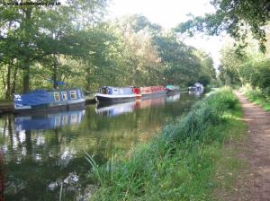 Narrow boats near Walsham Lock