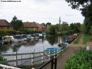 The Wey near Byfleet Boat House