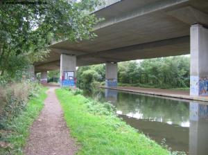The M25
